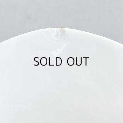 1センチ大のカケ（アップにしてみました）