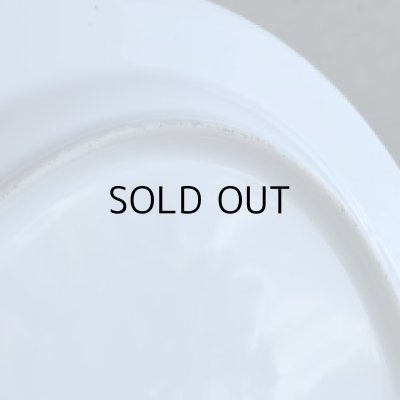 画像14: 大きなオーバル皿　イタリアアンティーク？