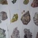 画像12: 鉱物図鑑カード  108枚   アンティーク