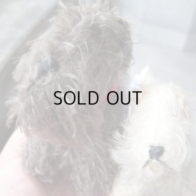 画像15: ヨークシャテリアのぬいぐるみ2個セット  現行品