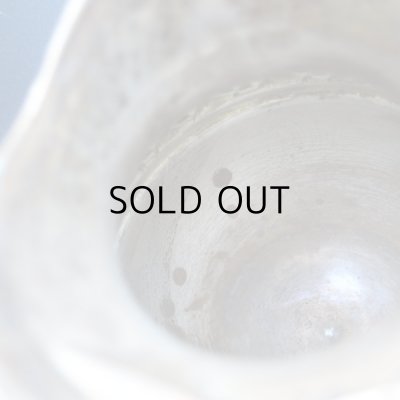 内側の黒点など。