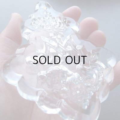 こんなに大きいんです。