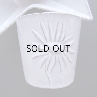 画像4: アスティエ・ド・ヴィラット  お花のゴブレット  未使用保管品