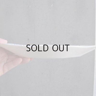 画像8: フランスアンティーク  LONGWYのラヴィエ  ボタニカル