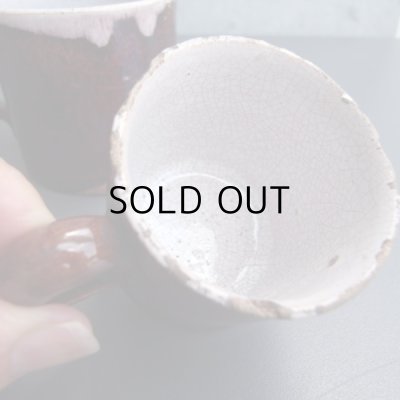 カケが多くみられます。