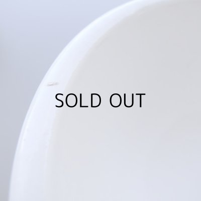 画像11: サルグミンヌのボウル  アンティーク