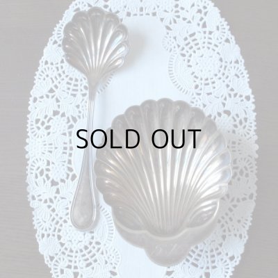 シェル型のデザインが揃いました。