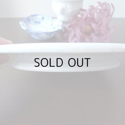 卓上にも置きやすい低さです。