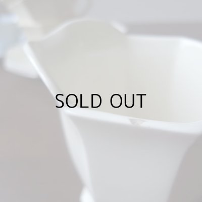 チップがみられます。