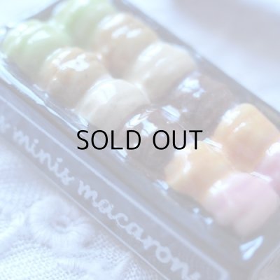 画像6: PAUL ポール 2013年 フェーブ  新品未使用