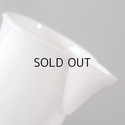 わずかなカケがみられます