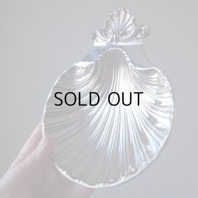 しっかり大きめ。