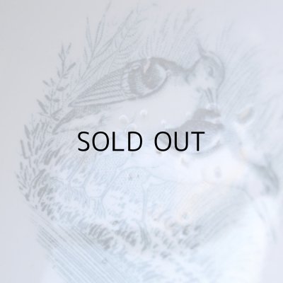 画像11: フランスアンティーク  水鳥のカフェオレボウル