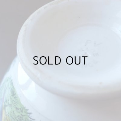 画像13: フランスアンティーク  水鳥のカフェオレボウル