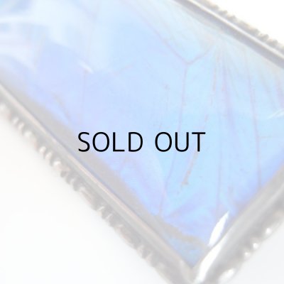 画像6: モルフォ蝶のブローチ  アンティーク