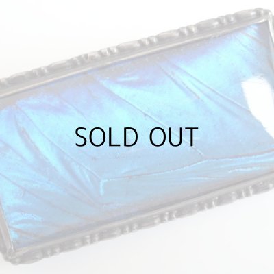 画像15: モルフォ蝶のブローチ  アンティーク