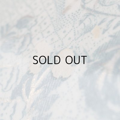 お皿の中心あたりにソゲがみられます。