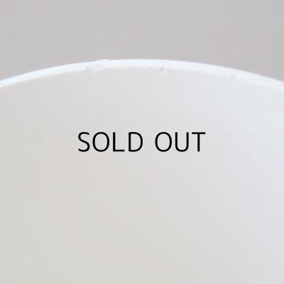 リム部分、マイクロチップ