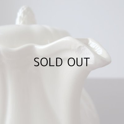 画像7: 難あり！サルグミンヌ花リムのティーポット  アンティーク