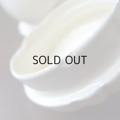 画像12: 難あり！サルグミンヌ花リムのティーポット  アンティーク