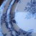 画像7: サルグミンヌのデザート皿  フランスアンティーク