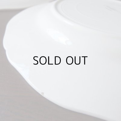 チップがみられます