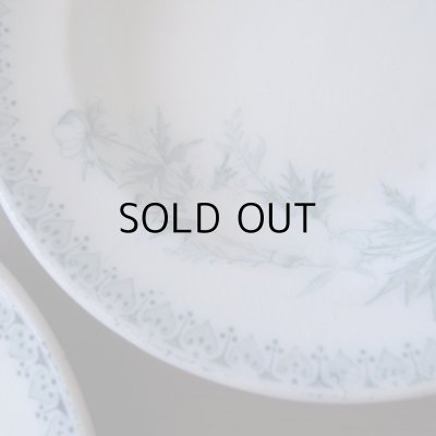 画像4: おままごとのお皿２枚セット Villeroy & Boch アンティーク