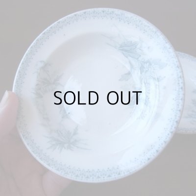 かわいいサイズ