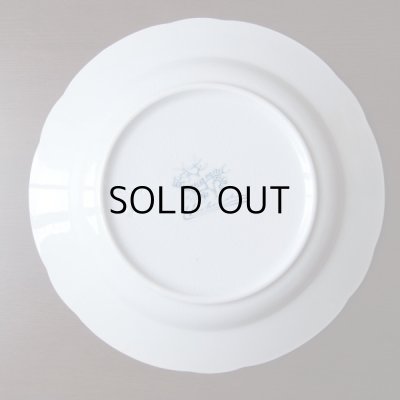 画像10: Lunevilleのヤドリギの深皿  フランスアンティーク