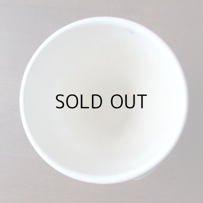 色ジミがみられます