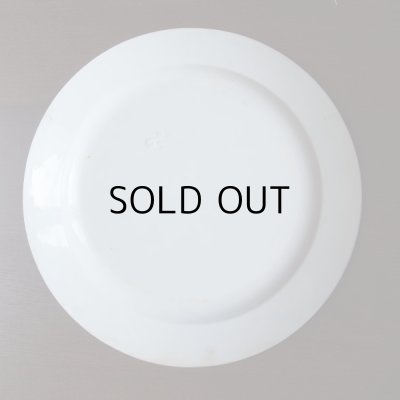 画像16: ショワジー  レリーフのグリザイユ皿　フランスアンティーク