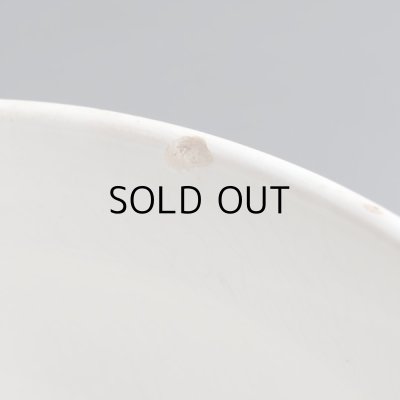 チップがあります