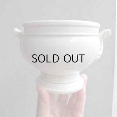 可愛いサイズ！