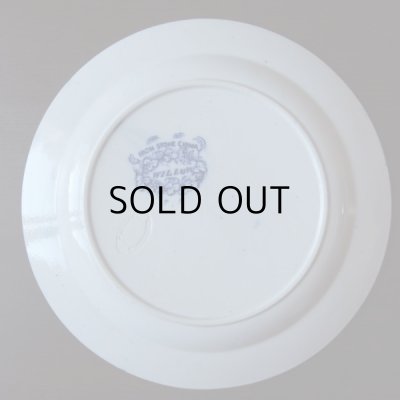 画像11: ペトルスレグーのウィローシリーズ　阿蘭陀アンティーク