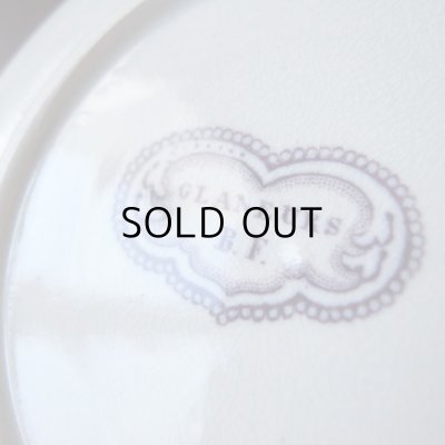 細かいカンニュウがびっしり