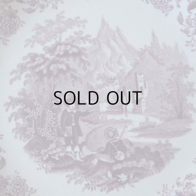 美しい紫色です