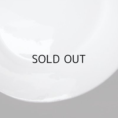 画像6: アスティエ・ド・ヴィラット　レリーフのお皿2枚セット