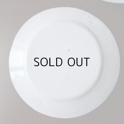 画像8: アスティエ・ド・ヴィラット　レリーフのお皿2枚セット