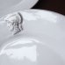 画像12: アスティエ・ド・ヴィラット　レリーフのお皿2枚セット
