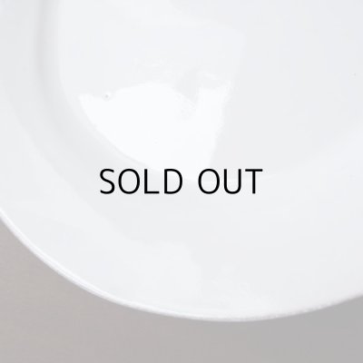 画像14: アスティエ・ド・ヴィラット　レリーフのお皿2枚セット