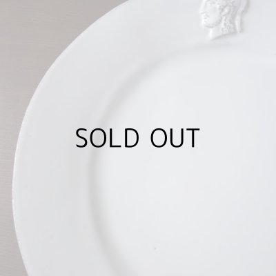 画像15: アスティエ・ド・ヴィラット　レリーフのお皿2枚セット