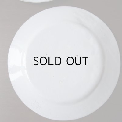 画像16: アスティエ・ド・ヴィラット　レリーフのお皿2枚セット