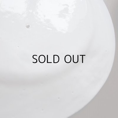 画像17: アスティエ・ド・ヴィラット　レリーフのお皿2枚セット