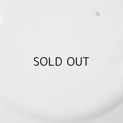 画像18: アスティエ・ド・ヴィラット　レリーフのお皿2枚セット