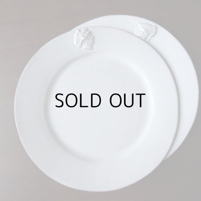 画像20: アスティエ・ド・ヴィラット　レリーフのお皿2枚セット