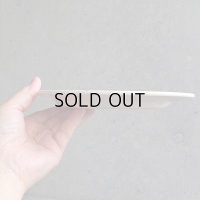 画像22: P＆H ショワジー　グリザイユのお皿　フランスアンティーク