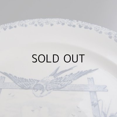 翼を広げて幸運を運んでくる鳥、ツバメ。