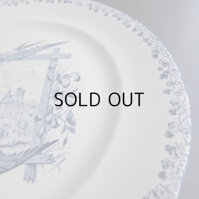 平皿ですので深さはあまりありません。