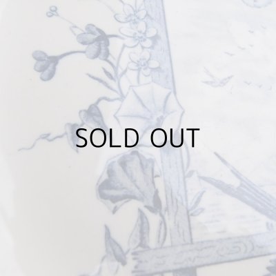 朝顔が咲いていますね。初夏でしょうか。。