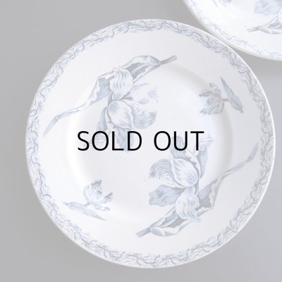 画像3: チューリップのお皿2枚セット　フランスアンティーク